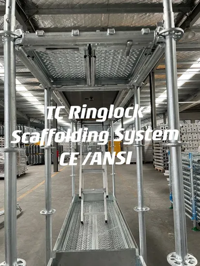Hot-Sales Ringlock Scaffolding with CE En 12811 Certification